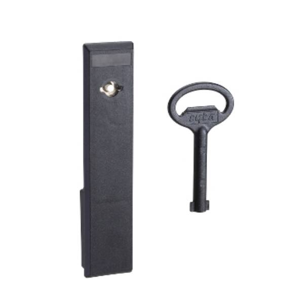 5mm double bar insert for large rectangular escucheon of PLM 108 and PL - Schneider Electric - NSYTDB5PL