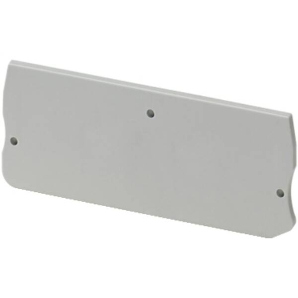 END COVER, 2PTS, 2,2MM WIDTH, FOR PUSH-IN DISCONNECT TERMINAL NSYTRP2 - Schneider Electric - NSYTRACPK22
