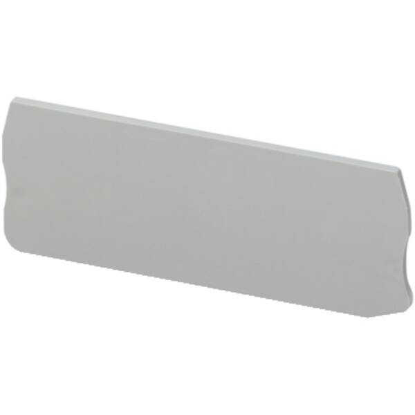 END COVER, 4PTS, 2,2MM WIDTH, FOR PUSH-IN DISCONNECT TERMINAL NSYTRP2 - Schneider Electric - NSYTRACPK24