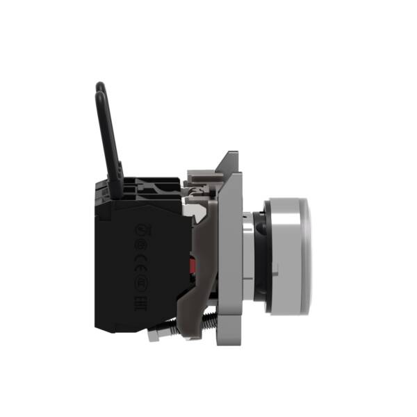 Push-to-test pilot light, Harmony XB4, metal, white, universal LED, screw clamp terminals, 110...120V - Schneider Electric - XB4BW21G5