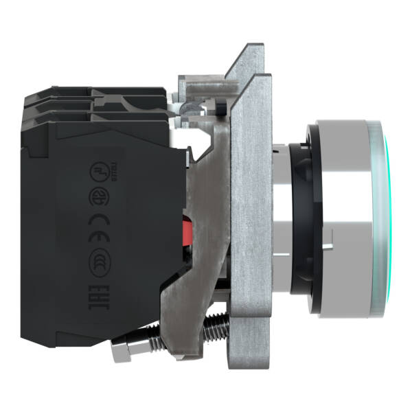 green flush complete illum pushbutton Ø22 spring return 1NO+1NC 250V - Schneider Electric - XB4BW3365