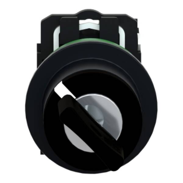 FLUSH MOUNTED SELECTOR SWITCH KEY 455 2 POS STAY PUT KEY RELEASE LEFT 1NO SCREW - Schneider Electric - XB5FG21