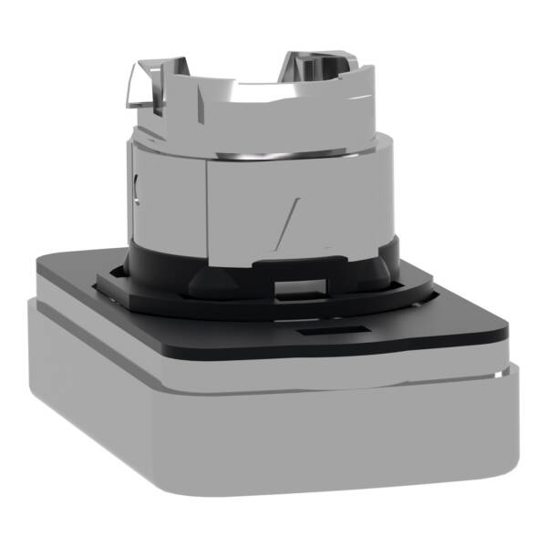 white flush/black flush illuminated double-headed pushbutton Ø22 unmarked - Schneider Electric - ZB4BW7A1720