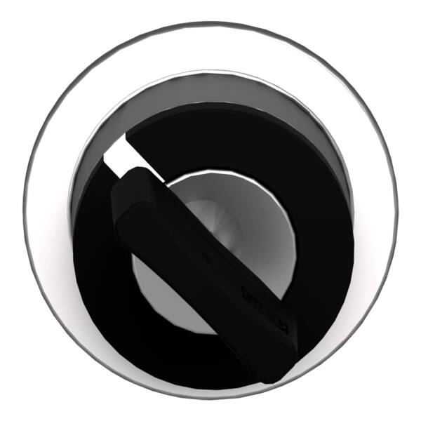 Head for key selector switch, Harmony XB4, flush mounted 455 2, position stay put - Schneider Electric - ZB4FG2