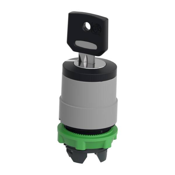 Harmony XB5, Key switch selector head, plastic, black, Ø22, key n°455, 2 positions, stay put, grey bezel - Schneider Electric - ZB5AG4C0