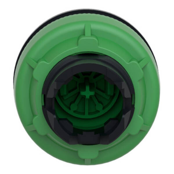 flush mounted green flush caps pushbutton head - Schneider Electric - ZB5FA3