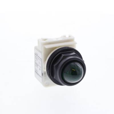 PILOT LIGHT 120VAC 30MM SK +OPTIONS - Schneider Electric - 9001SKP1G9