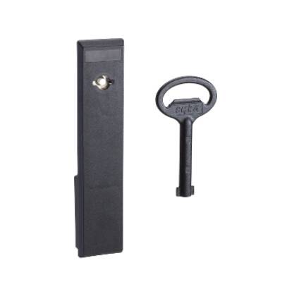 5mm double bar insert for large rectangular escucheon of PLM 108 and PL - Schneider Electric - NSYTDB5PL