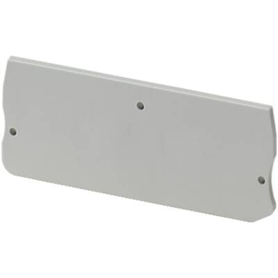 END COVER, 2PTS, 2,2MM WIDTH, FOR PUSH-IN DISCONNECT TERMINAL NSYTRP2 - Schneider Electric - NSYTRACPK22
