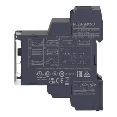 Multifunction Timer Relay - 24VDC/24..240 V AC - 2 C/O - Schneider Electric - RE22R2MXMU