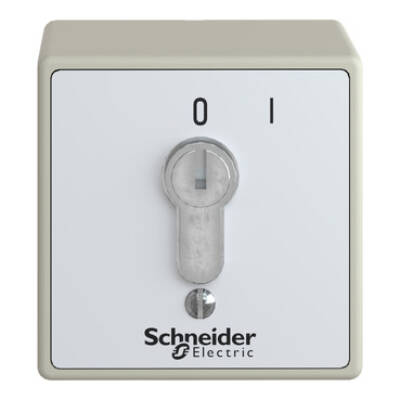 vandal resistant surface mounted control station - XAP-S - lock - Schneider Electric - XAPS11111N