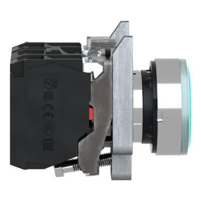 green flush complete illum pushbutton Ø22 spring return 1NO+1NC 250V - Schneider Electric - XB4BW3365