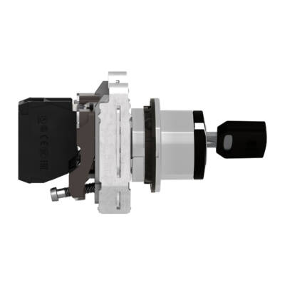 Selector switch, Harmony XB4, flush mount sw Ø 30.5 key 455 2pos stay put key release left right 1 NO - Schneider Electric - XB4FG41