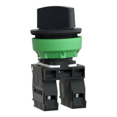 FLUSH MOUNTED SELECTOR SWITCH 2 POS STAY PUT 1NO 1NC SCREW CLAMP - Schneider Electric - XB5FD25