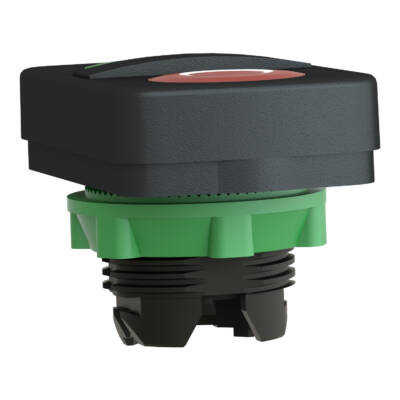green flush/red flush double-headed pushbutton Ø22 with marking - Schneider Electric - ZB5AA7341