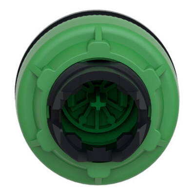 flush mounted green flush caps pushbutton head - Schneider Electric - ZB5FA3