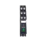 Img schneider electric RXG21 BDPV