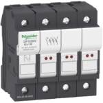 Img schneider electric DF103 NV