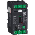 Img schneider electric GV4 PB50 N