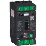 Img schneider electric GV4 PB80 B