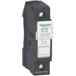 Img schneider electric DF10 N