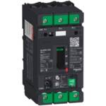 Img schneider electric GV4 PB115 N