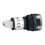 Img schneider electric XB5 DTGM3