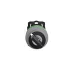 Img schneider electric XB5 FG41 C0 4