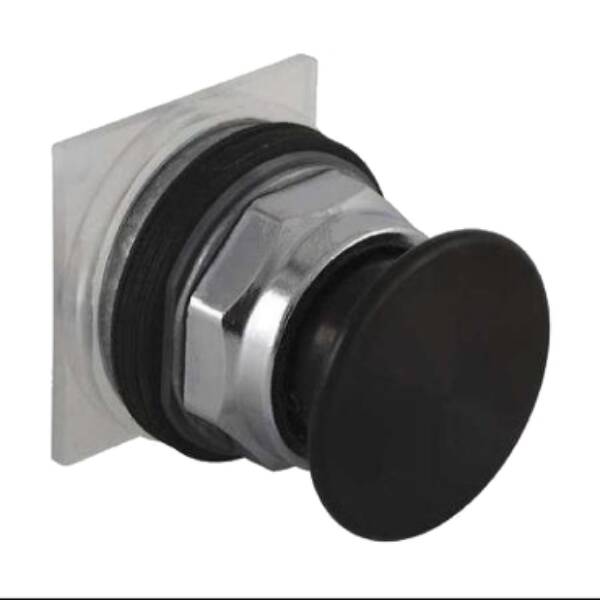 Momentary Push Button - Square D - 9001KR24BM