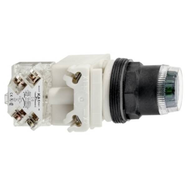 PUSHBUTTON OPERATOR 30MM SK +OPTIONS - Schneider Electric - 9001SK1L35LGG