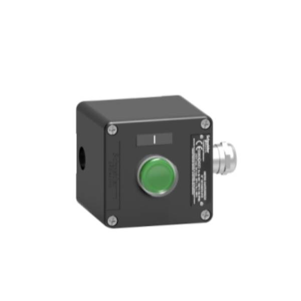 Control station, metal, start function, 1 flush push button, green, 1 NO, ATEX - Schneider Electric - XAWF100EX