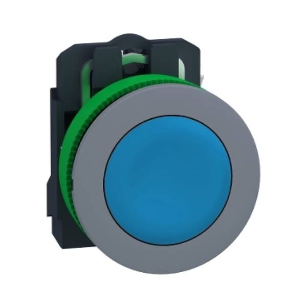 flush mounted blue flush caps pushbutton 1NO screw clamp cp grey - Schneider Electric - XB5FA61C0