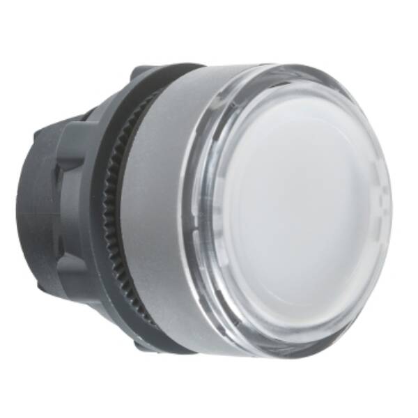 Harmony XB5, Illuminated push button head, plastic, flush, white, Ø22, push-push, integral LED, for insertion of legend, grey bezel - Schneider Electric - ZB5AH0183C0