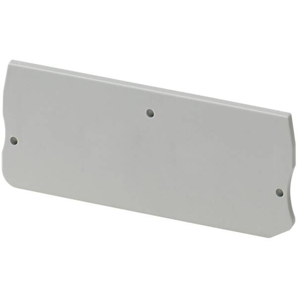 END COVER, 2PTS, 2,2MM WIDTH, FOR PUSH-IN DISCONNECT TERMINAL NSYTRP2 - Schneider Electric - NSYTRACPK22