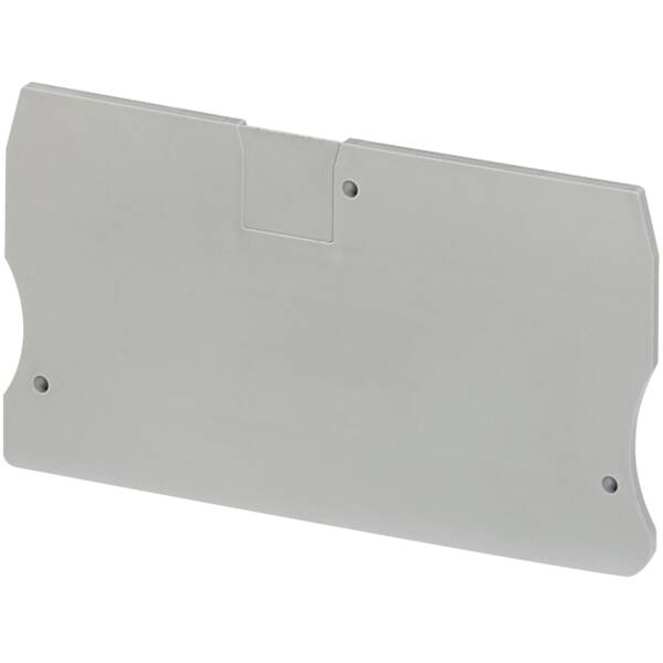 END COVER, 2PTS, 2,2MM WIDTH, FOR SPRING TERMINALS NSYTRR162 - Schneider Electric - NSYTRACR162