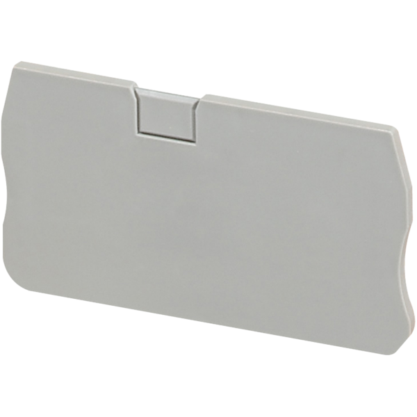 END COVER, 2PTS, 2,2MM WIDTH, FOR SPRING TERMINALS NSYTRR42, NSYTRP42 - Schneider Electric - NSYTRACR42