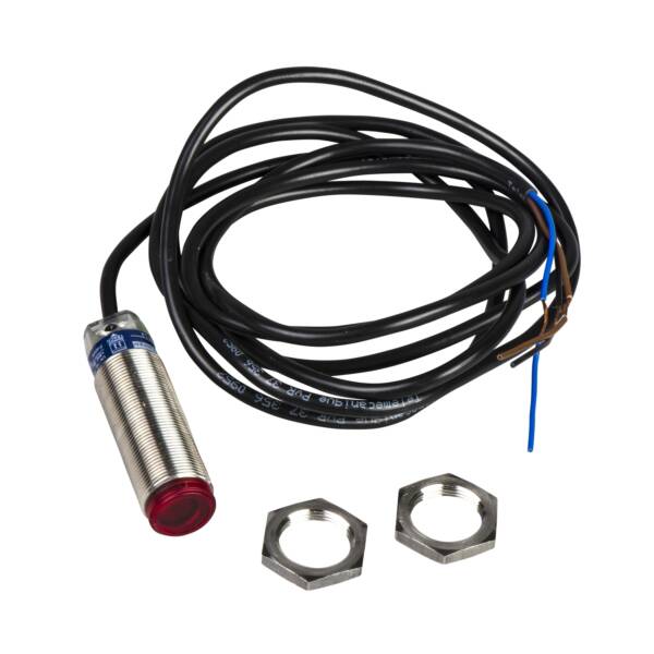 photo-electric sensor - XUBT - polarised - Sn 1.4m - 12..24VDC - cable 2m - Telemecanique Sensors - XUBTSPSNL2