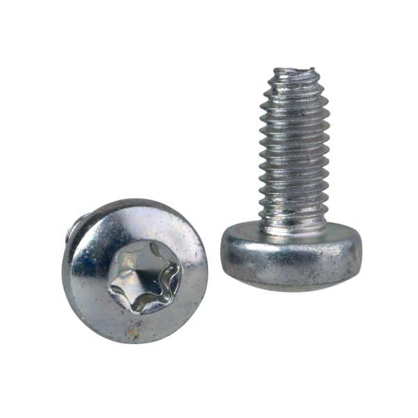 Self-tapping Torx screw M6x12mm + captive washer. Supply: 100 units - Schneider Electric - NSYST30M6S