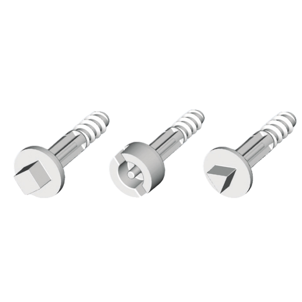 Double bar screws, Ø5 mm, for THALASSA boxes with 20 mm cover height. - Schneider Electric - NSYAEDSB520TB