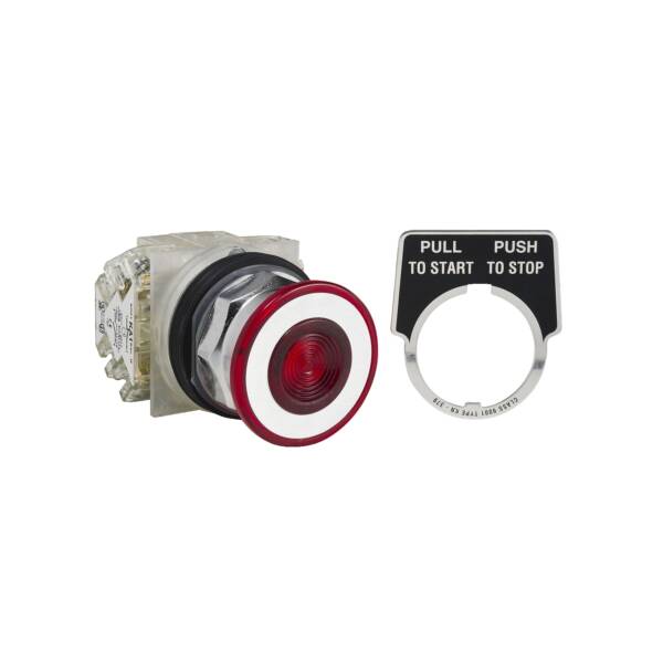 PUSH BUTTON 600VAC 10A 30MM T-K - Schneider Electric - 9001KR9RH2