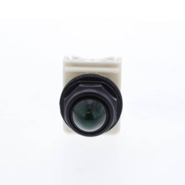 PILOT LIGHT 120VAC 30MM SK +OPTIONS - Schneider Electric - 9001SKP1G9