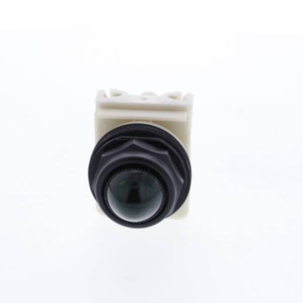 PILOT LIGHT 120V 30MM SK +OPTIONS - Schneider Electric - 9001SKP38LGG9