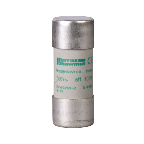 NFC cartridge fuses, Tesys GS, cylindrical, 22 mm x 58 mm, fuse type aM, 500 VAC, 80 A, without striker - Schneider Electric - DF2FA80