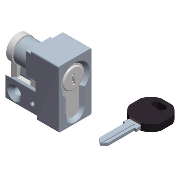 Cylindrical barrel 1242E keylock for NSYSFHD2 - Schneider Electric - NSYIN1242E2