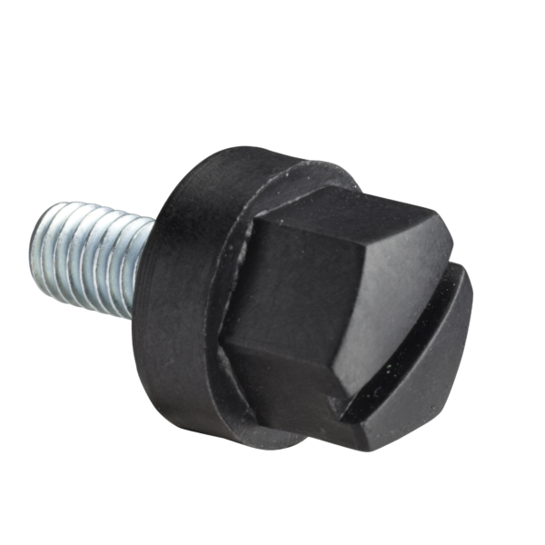 Insulated head screw M5x10mm. Supply: 100 units - Schneider Electric - NSYSM10M5HP