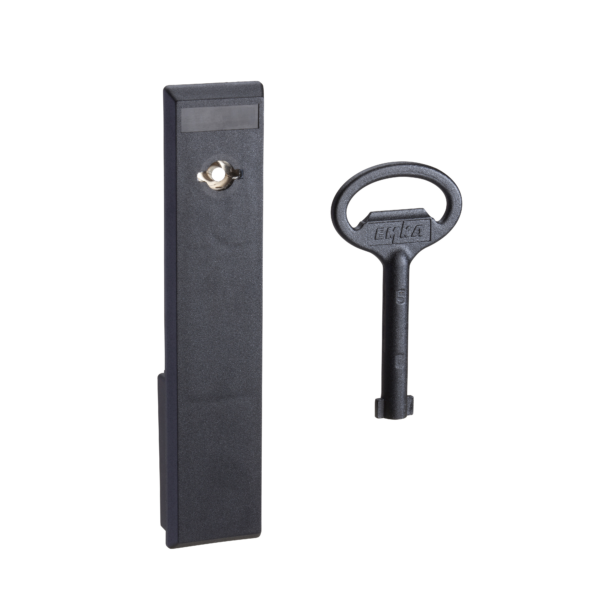 External handle with 2331A barrel & key - Schneider Electric - NSYTHL2331APLM