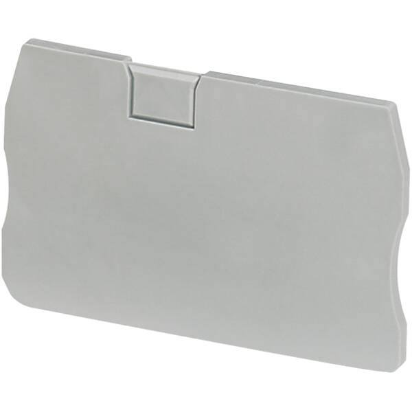 END COVER, 2PTS, 2,2MM WIDTH, FOR SPRING TERMINALS NSYTRR22, NSYTRP22 - Schneider Electric - NSYTRACR22