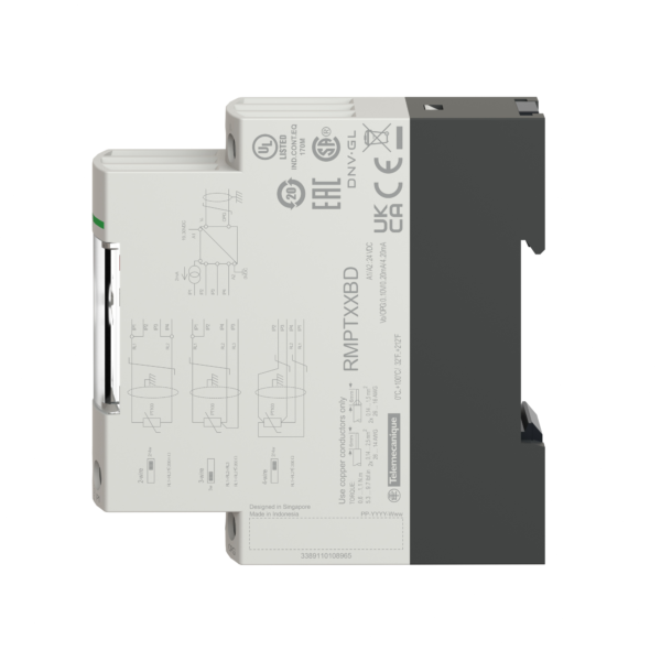 temperature transmitter - 0..100 °C/32..212 °F - for Optimum Pt100 probes - Schneider Electric - RMPT33BD