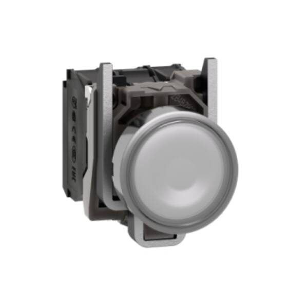 Illuminated push button, Harmony XB4, metal, white flush, 22mm, universal LED, plain lens, 1NO + 1NC, 24V AC DC - Schneider Electric - XB4BW31B5