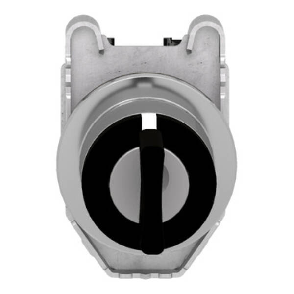 Selector switch, Harmony XB4, flush mounted sw Ø 30.5 key 455 3 pos stay put key release 2 NO - Schneider Electric - XB4FG03